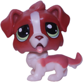 #218 Saint Bernard "Bigley Bernie"